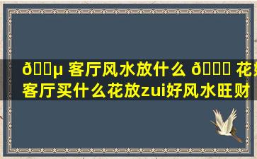 🐵 客厅风水放什么 🐞 花好(客厅买什么花放zui
好风水旺财)